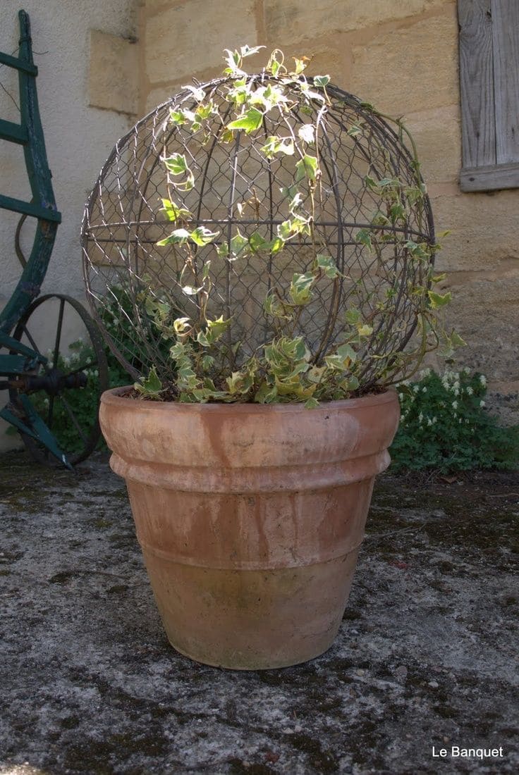 Charming Wire Globe Trellis Planter