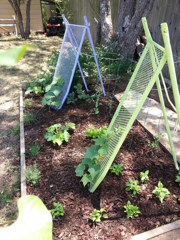 Creative Repurposed Bed Frame Trellis