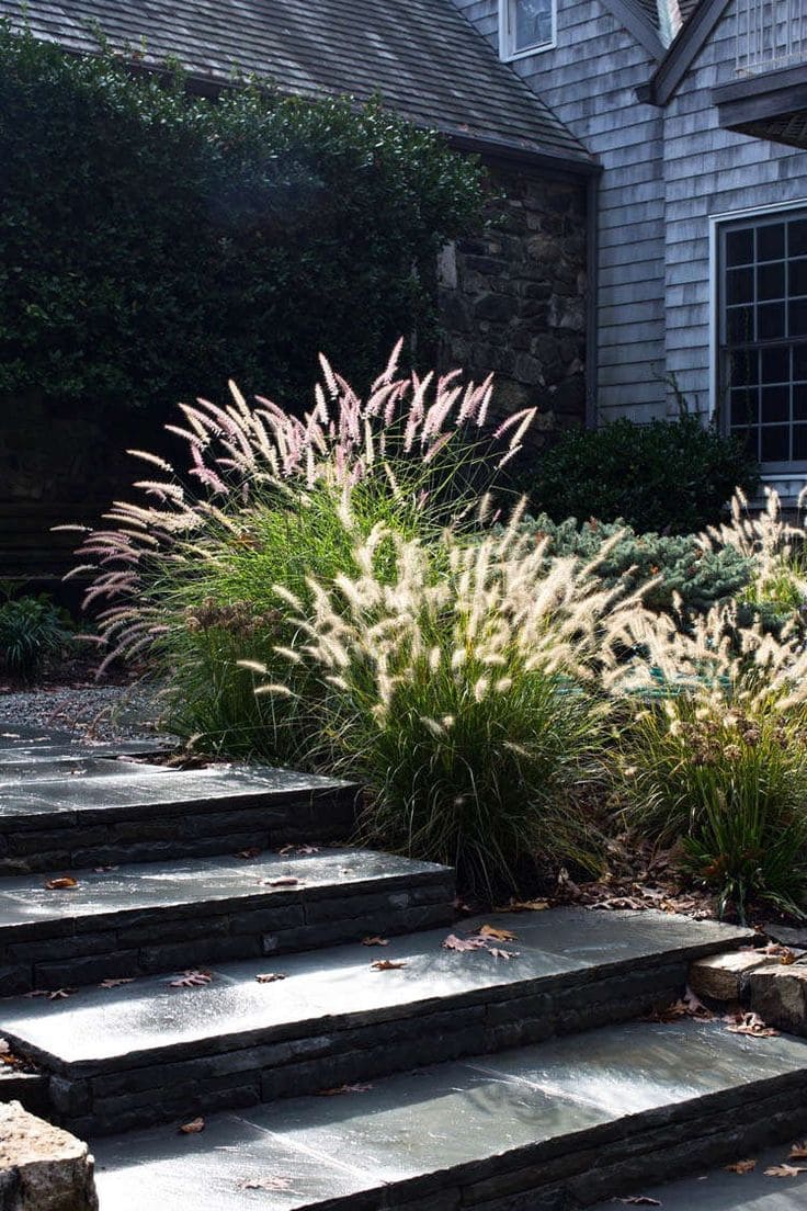 Elegant Stone Pathway Framed by Ornamental Grasses