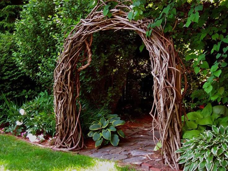 Enchanted Twisted Branch Archway