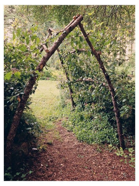 Enchanted Woodland Garden Archway with Branches