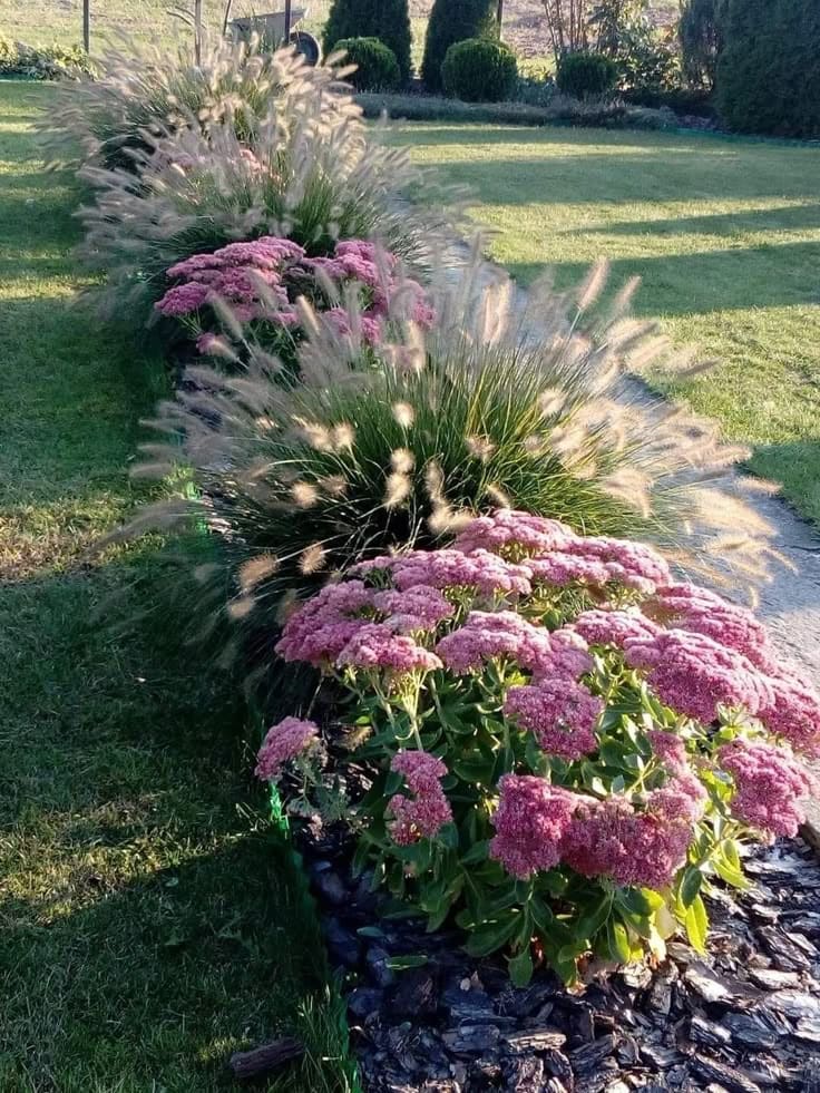 Graceful Garden Borders with Ornamental Grasses and Blooms