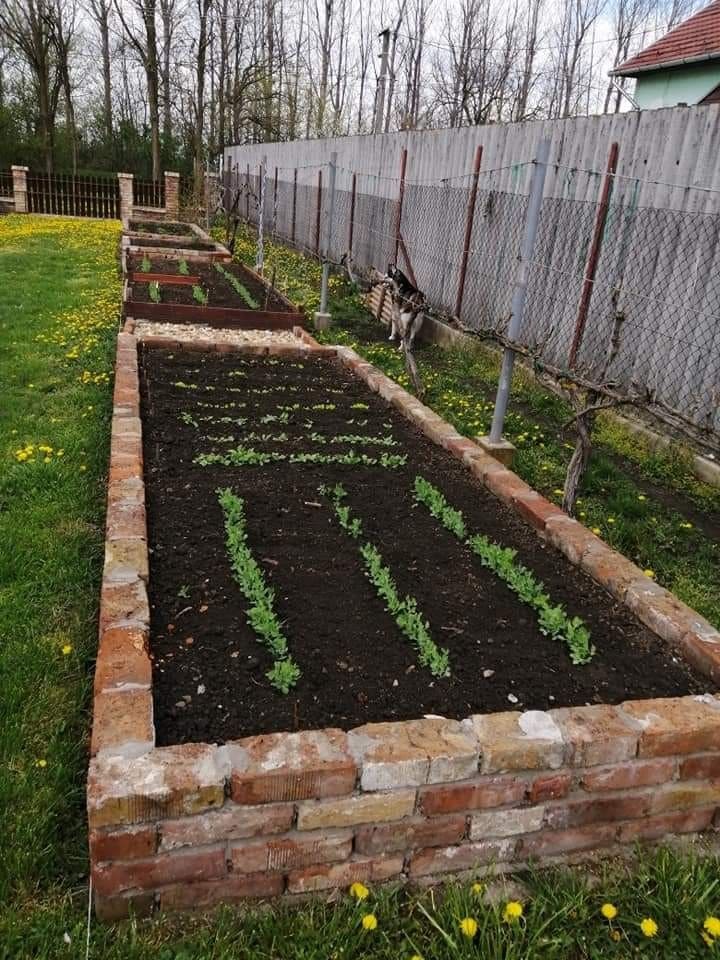 Neat Raised Brick Garden Beds for Efficient Planting