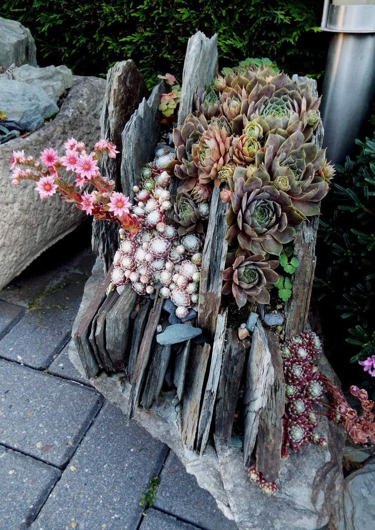 Rock Crevice Succulent Planter