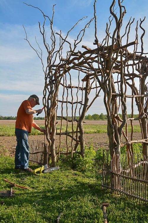 Rustic Branch Garden Gate Design