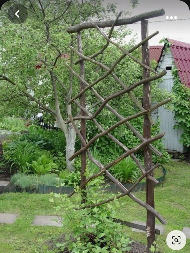 Rustic Branch Trellis for Climbing Plants