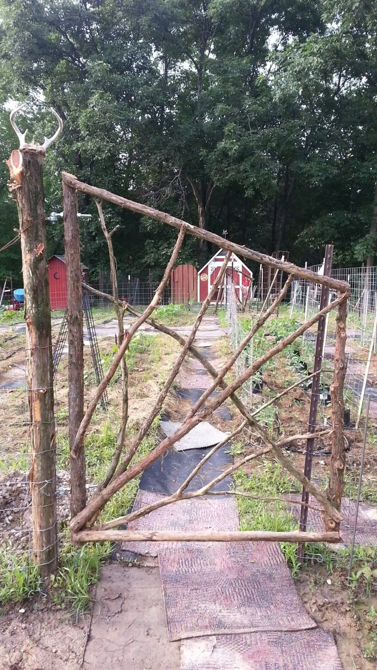 Rustic Farmhouse Branch Gate