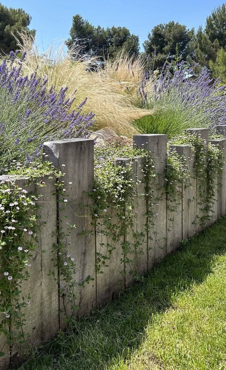 Rustic Wooden Fence with Flowing Grasses