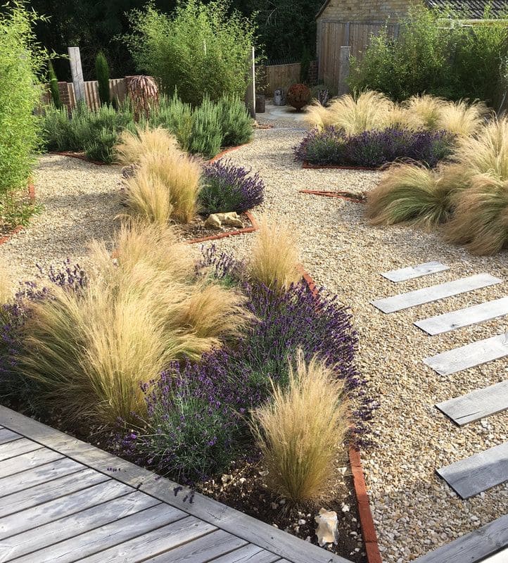 Serene Gravel Garden with Flowing Grasses