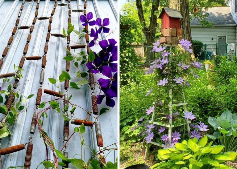 20 Upcycled Growing Supports: Unique Alternatives to Traditional Trellises