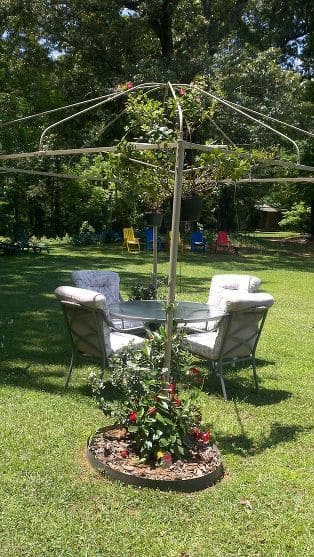 Upcycled Umbrella Trellis for a Cozy Retreat