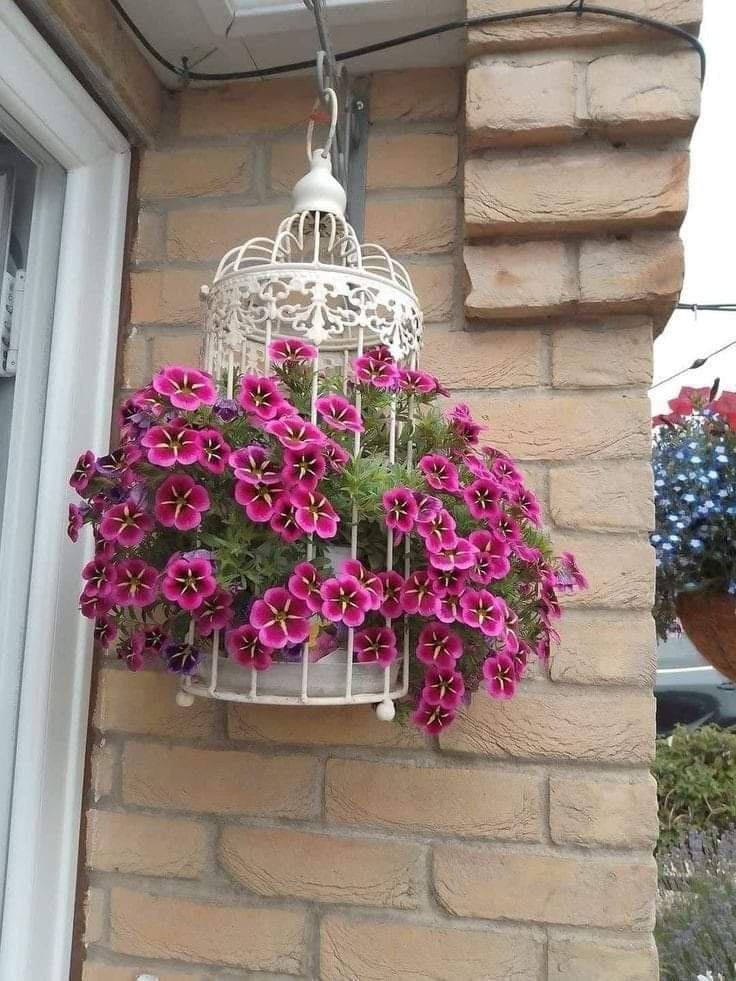 Vintage Birdcage Hanging Planter for Flowers