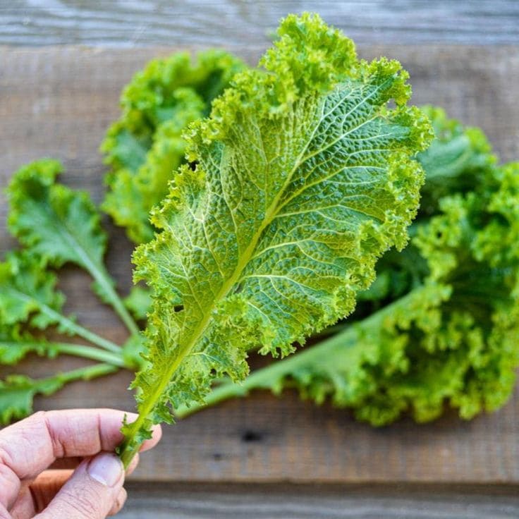 Mustard Greens