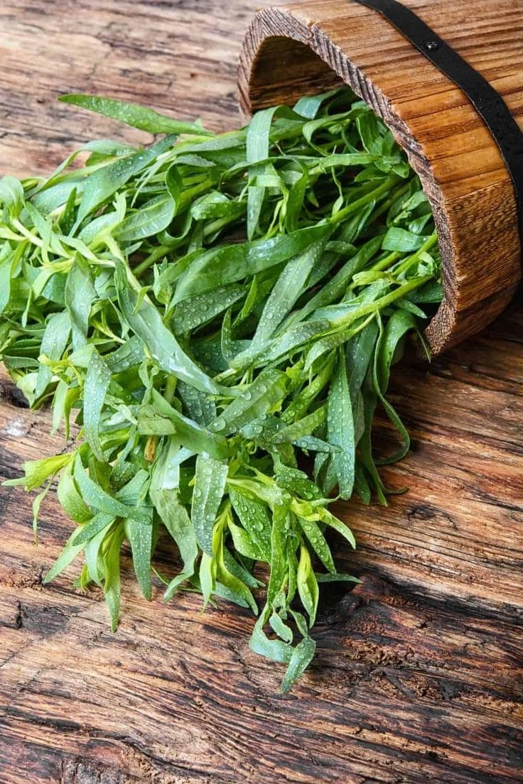 Tarragon