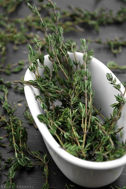 Thyme